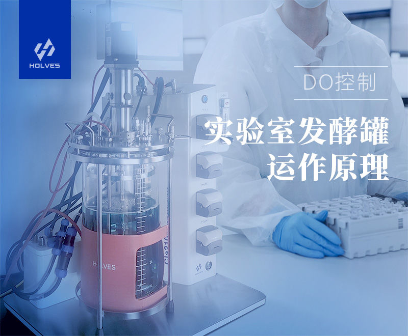 實驗室發(fā)酵罐 實驗室發(fā)酵罐