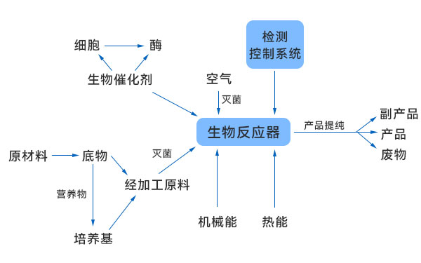 一般生物技術(shù)生產(chǎn)過(guò)程示意圖 一般生物技術(shù)生產(chǎn)過(guò)程示意圖