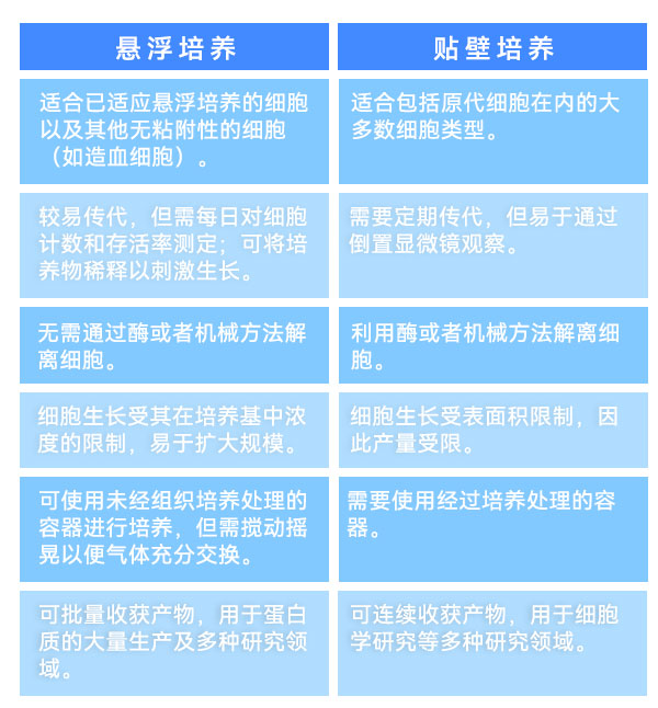 懸浮培養(yǎng)和貼壁培養(yǎng) 懸浮培養(yǎng)和貼壁培養(yǎng)