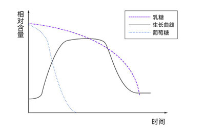 大腸桿菌在不同培養(yǎng)基中的生長 大腸桿菌在不同培養(yǎng)基中的生長